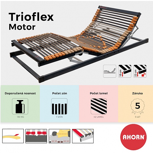Ahorn Trioflex Motor